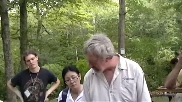 Boletus Species And More..