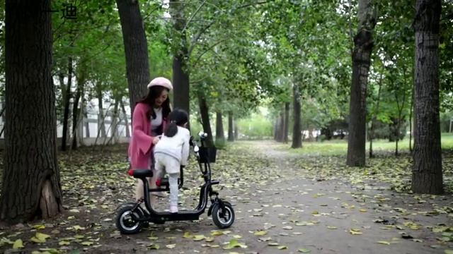 Купить складной электрический велосипед за 54 тыс для родителя и ребенком ЛУЧШАЯ ЦЕНА НА АЛИЭКСПРЕС смотреть онлайн