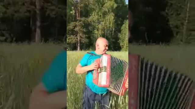 Мужик в поле красиво играет и поет на гармошке ❤️Рустам Зиатдинов смотреть онлайн