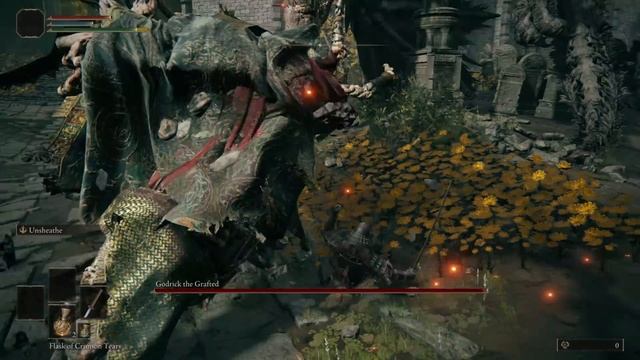 Did you know Godrick will RAGE if you try to hit his dragon souls? смотреть онлайн