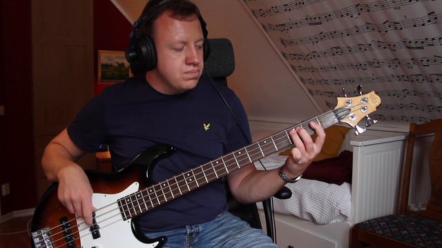 Tina Turner - What's Love Got To Do With It (Bass Cover) смотреть онлайн