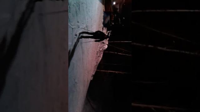 16 02 2014 Мечка Леха и Со смотреть онлайн