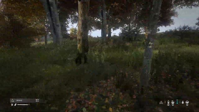 MAD CHAOS in Stary Sobor... смотреть онлайн