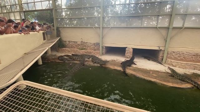 Djerba Explore Park, Djerba, Zarzis смотреть онлайн