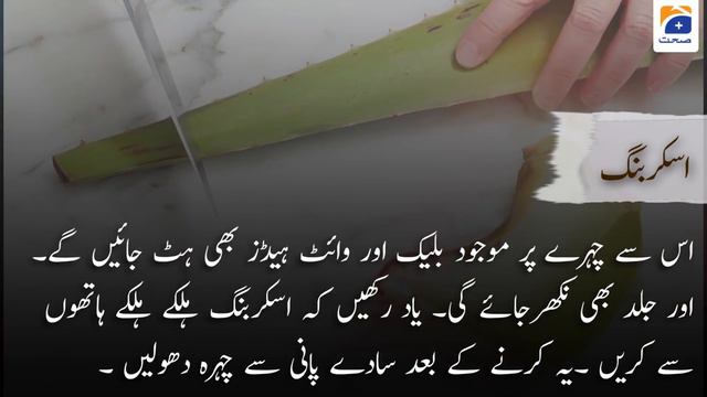 Aloe vera Facial | Uses and benefits | Geo Health смотреть онлайн
