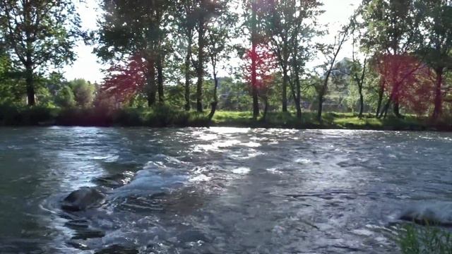 Река жизни и присутствие смотреть онлайн