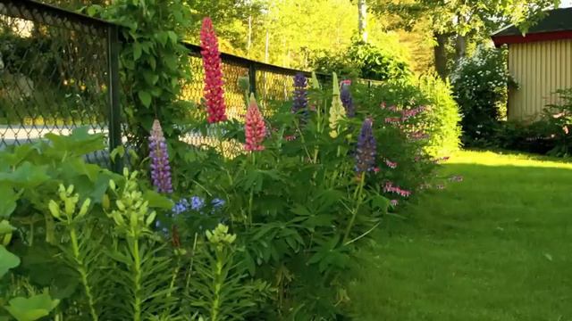 Det blomstrer og gror :) смотреть онлайн