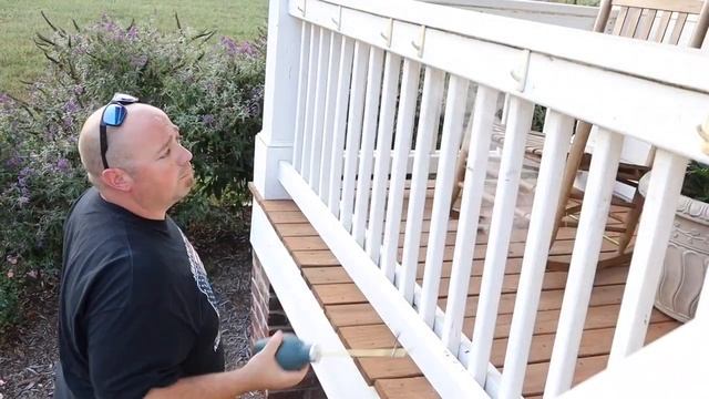 WASP!! ////HOW WE CONTROL WASPS WITH DELTA DUST!!!//// смотреть онлайн