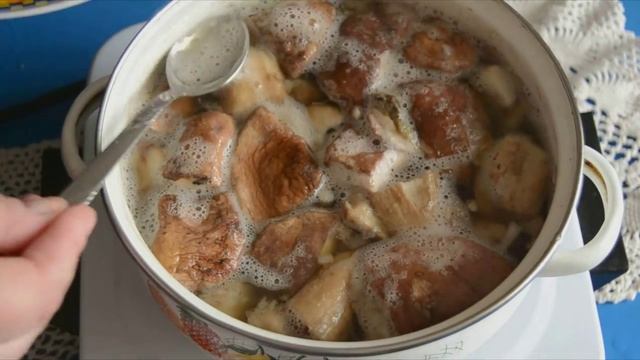 Белые грибы в сметане — видео рецепт смотреть онлайн