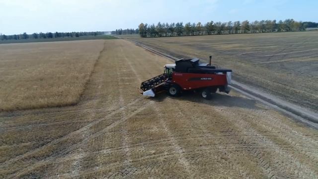 Комбайны и косилки РОСТСЕЛЬМАШ на Алтайской МИС смотреть онлайн