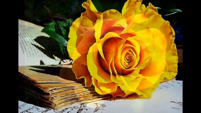 Танго желтых цветов смотреть онлайн