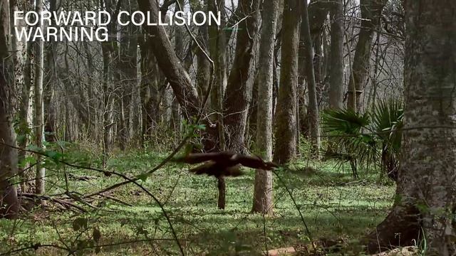 2022 Kawasaki Ninja H2 SX | Official Action Video | ENGINEERED TO BE FREE смотреть онлайн