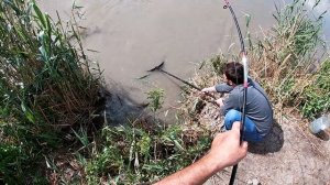 Рыбалка в Дагестане - Сазан на каждой удочке
