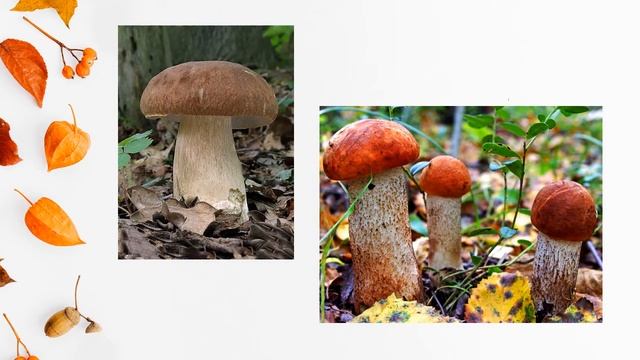 Текстильна аплікація. Намотування ниток на основу "Грибочки" смотреть онлайн