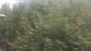 Электропоезд ЭД9М 0191 Нижний Новгород Семенов 13 09 2020 Nizhny Novgorod Semyonov EMU Train