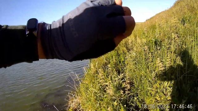 Трудовые рыбалки выходного дня. Ловля на летнюю мормышку. смотреть онлайн