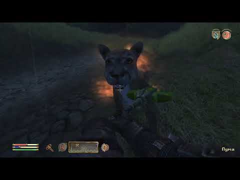 The Elder Scrolls IV Oblivion 72 серия смотреть онлайн