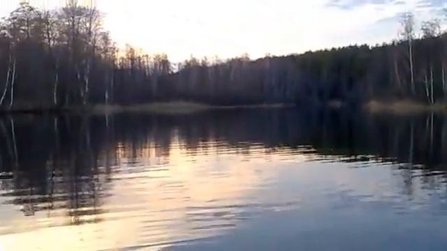 Художественный свист музыка " My way " - МОЙ ПУТЬ ! смотреть онлайн