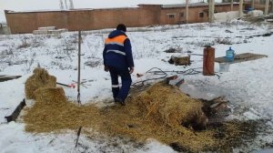 Старый метод. Разбираем ошибки и делаем правильно. Смалим соломой для вкусного сала!