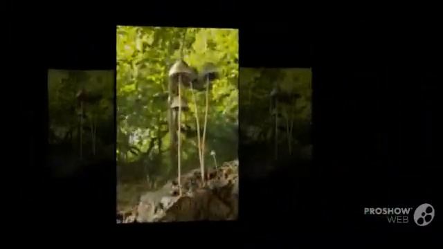 Panaeolus rickenii - fungi kingdom смотреть онлайн