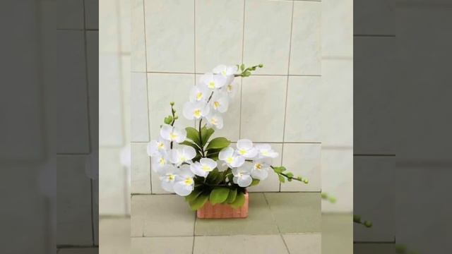 very pretty and adorable phalaenopsis flowers arrangements ideas part 4 смотреть онлайн