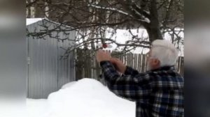 Кормушка для синичек 2