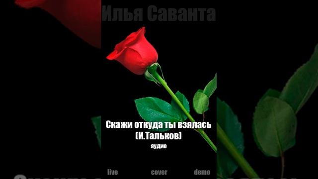 Илья Саванта - Скажи откуда ты взялась (И.Тальков) смотреть онлайн
