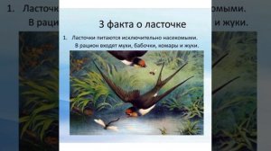 Естествознание. Почему ласточка улетает? Класс предшкольной подготовки