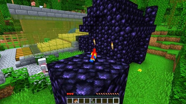 5 Minecraft PRANKS To Play On Your BROS смотреть онлайн