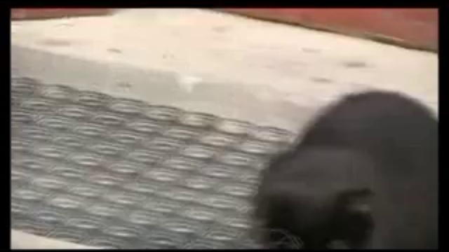 строим пристройку из кирпича. всеволожск смотреть онлайн