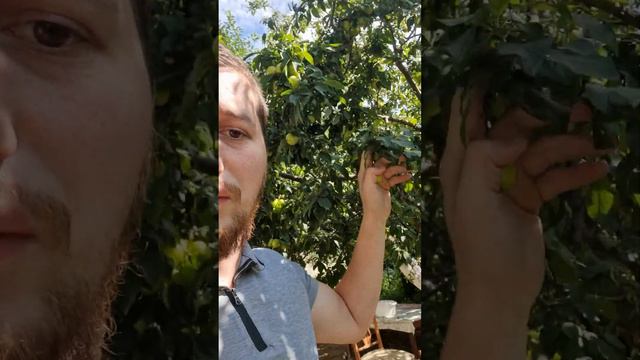 Тупизм атеизма #атеизм #религия #ислам смотреть онлайн