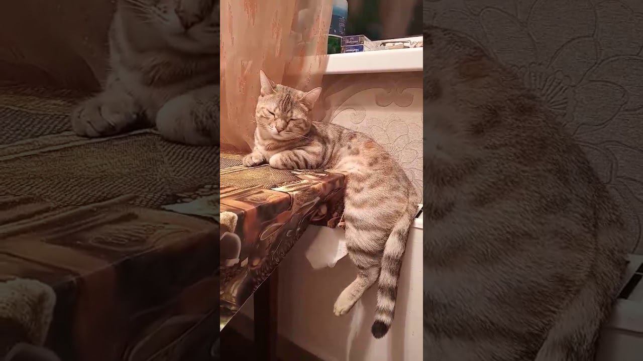 16 января 2020 г. смотреть онлайн