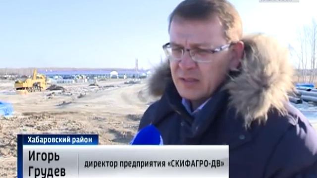 "СКИФАГРО-ДВ" готовится к утилизации свиней смотреть онлайн