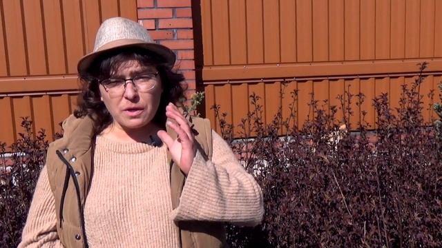 Сорта пузыреплодника калинолистного. Обзор сортов, посадка и уход. смотреть онлайн