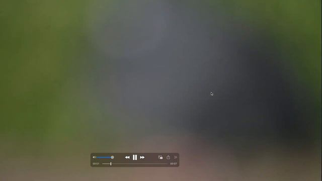 Nikon 400 4.5 - Best Wildlife Lens? смотреть онлайн