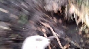 Находки по РЖВ|Обзор АКА Интроник