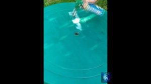 Лайфхак. Восстановить пластиковый стол. #Shorts