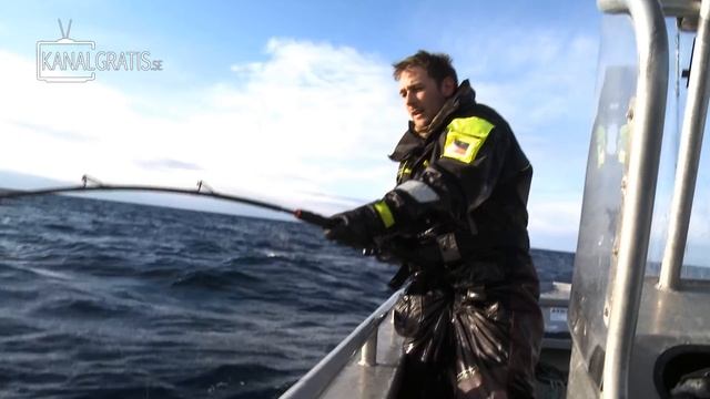 Monster Hunt - Barents Sea Skrei (Cod) смотреть онлайн