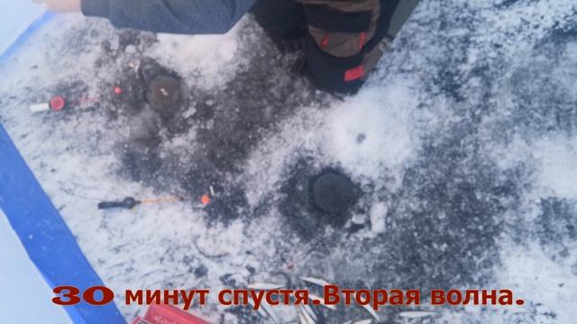 Корюшка 2021.Открытие сезона. Купил палатку,кайфую! смотреть онлайн