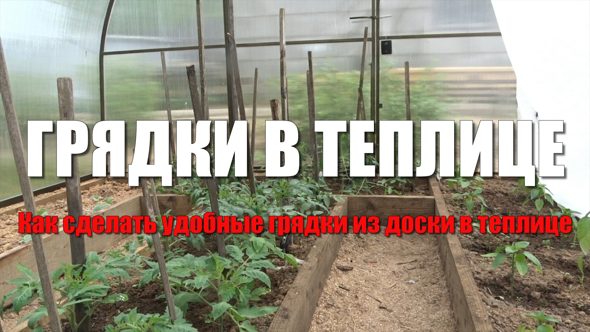 Как сделать грядки в теплице. Две или три грядки в теплице. Удобные грядки из досок в теплице смотреть онлайн
