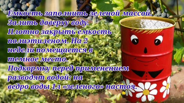 Подкормка винограда весной и летом. Народными средствами смотреть онлайн