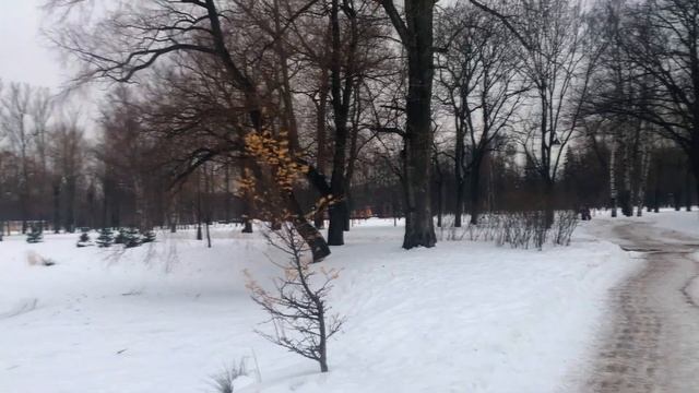Прогулка по Петербургу | Парк Победы 2021 смотреть онлайн
