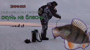 Зимняя рыбалка на окуня, ловля окуня на блесну.