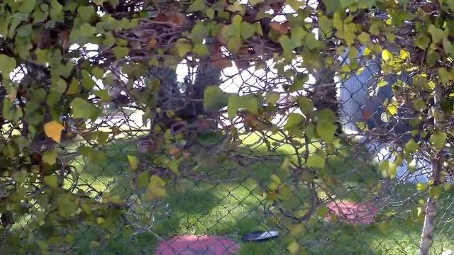 Аквапарк Альмуньекара. Путешествие: Португалия, Испания 2017. #61 смотреть онлайн