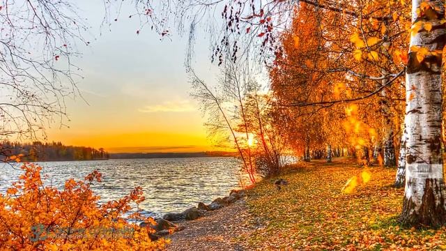 Всё нужно встречать вопросом - Кто я. (Роберт Адамс, читает Nikosho) смотреть онлайн
