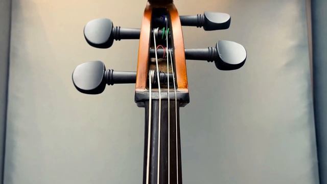 Spicato CV101 Cello Violoncello Strings смотреть онлайн