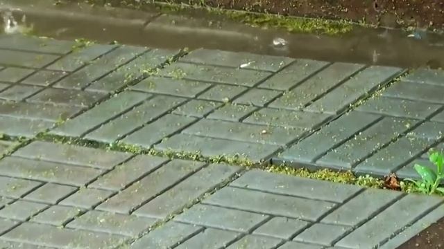 ✅?Тротуарная плитка,выбор,уклоны,нюансы за8лет-paving slabs смотреть онлайн