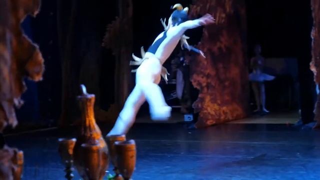 ЛЕБЕДИНОЕ ОЗЕРО смотреть онлайн