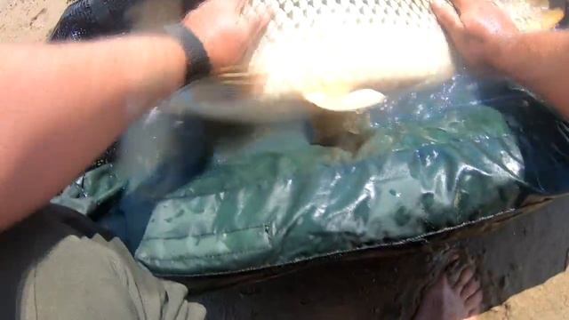 11кг. дикой мощи. Рыбалка мечты в одиночестве. Розыгрыш сумки с насадками. смотреть онлайн