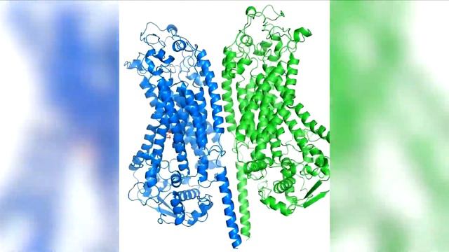 Hereditary deafness treatment смотреть онлайн